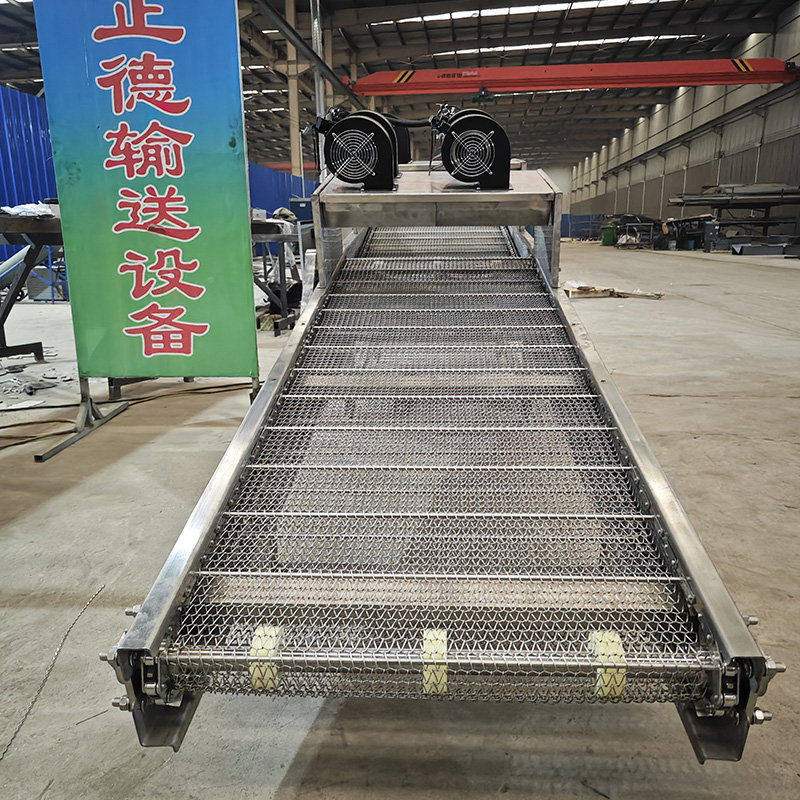 雙層網(wǎng)帶輸送機(jī)